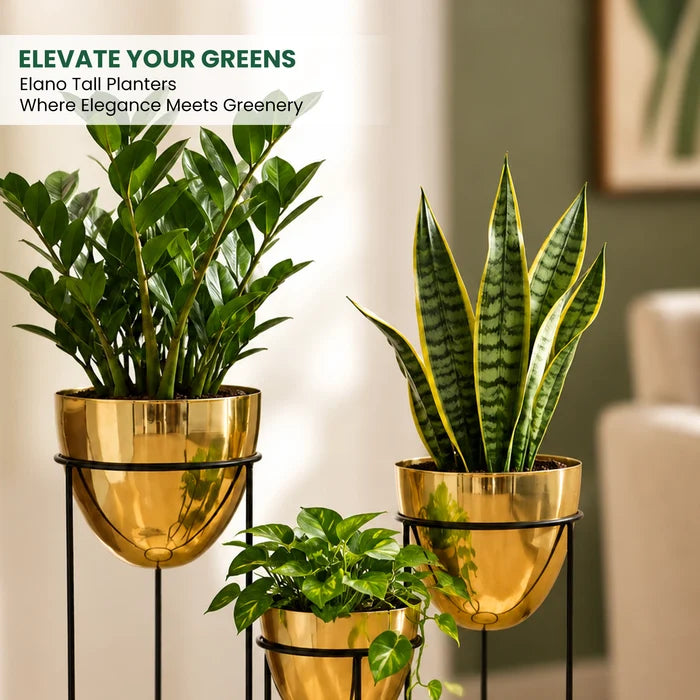 Orbelle Planters Gold edition from Urban Plant