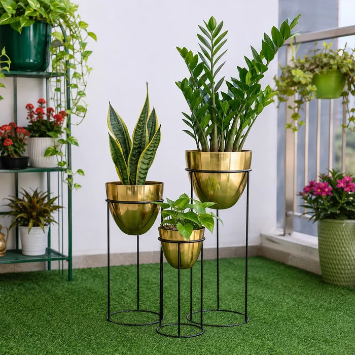 Orbelle Planters Gold edition from Urban Plant