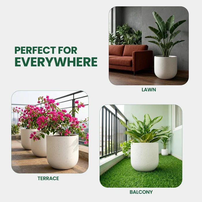 Orbis planter usage