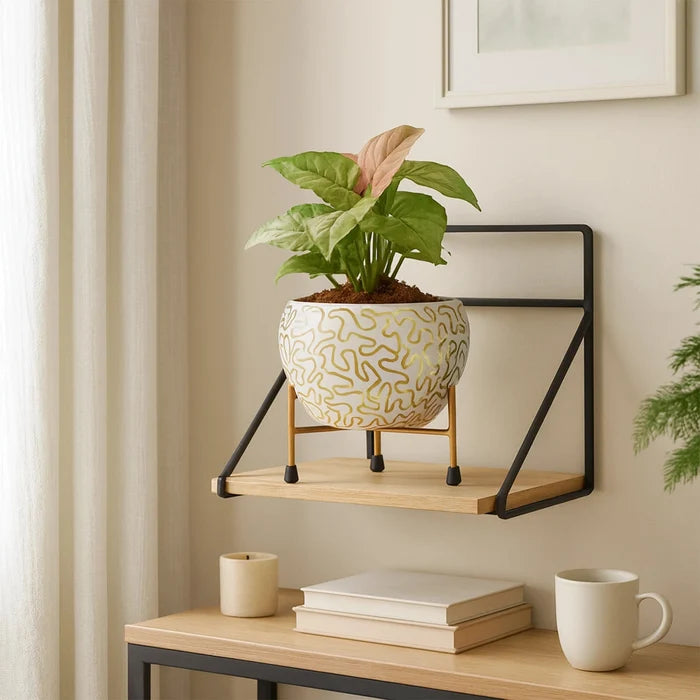 Orchard Table-top Metal Pot Metal Planter Urban Plant