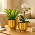 Orchid Metal Planter Metal Planter Urban Plant Gold