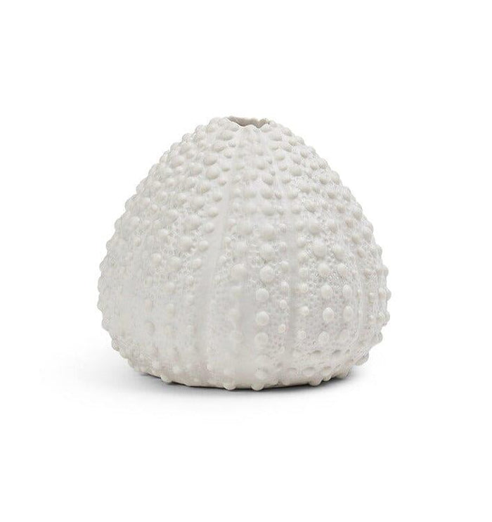 Thurnham 11cm Ceramic Sea Urchin Ornament - White - Laura James