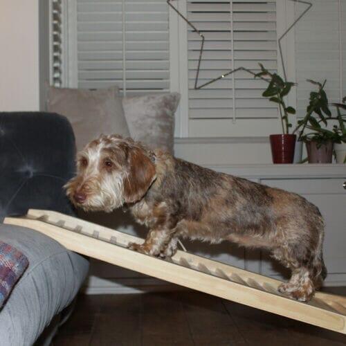 Wooden Dog Ramp - Laura James