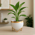 Petite Metal Pots Metal Planter Urban Plant White Gold