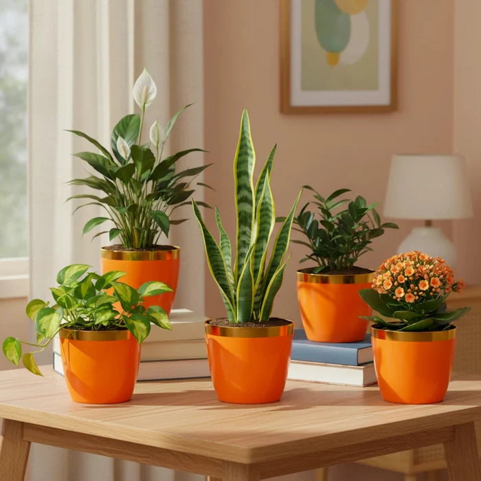 Plantura Pots- (Set of 5) Plastic Pot Urban Plant Orange