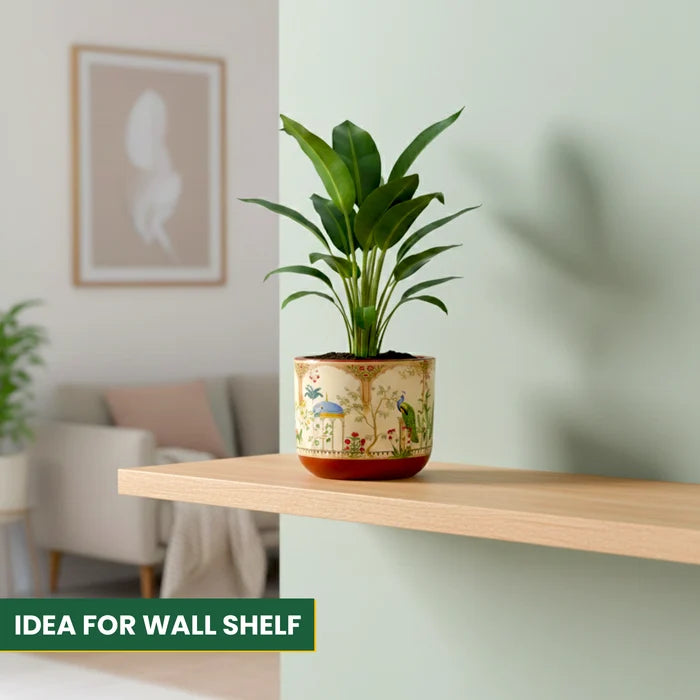 RANG terracotta planter with Badshahi Beige color for indoor plants on shelf