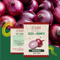 Red Onion Seeds Vegetable Seed Urban Plant