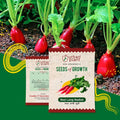 Red Radish Seeds Vegetable Seed Urban Plant