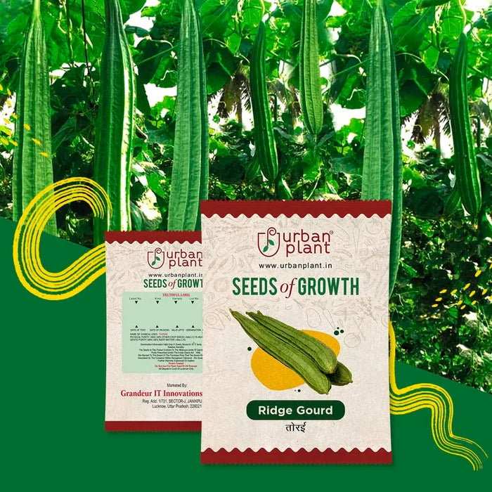 Ridge Gourd Seeds Urban Plant