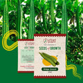 Ridge Gourd Seeds Urban Plant