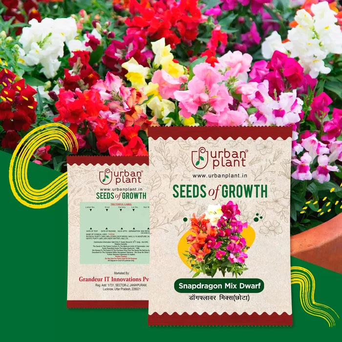 Snapdragon Mix (Dwarf) Flower Seeds Flower Seed Urban Plant