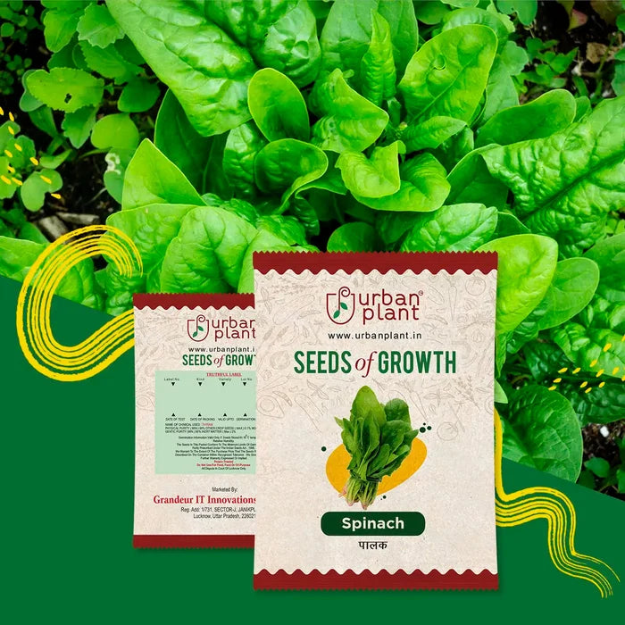 Spinach Seeds (Palak) Urban Plant