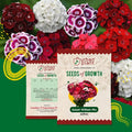Sweet Willium Mix Flower Seeds Urban Plant