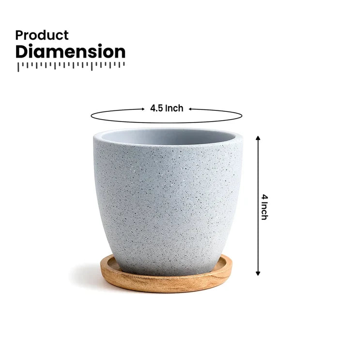 Terrazzo Terracotta Pot With Wooden Saucer