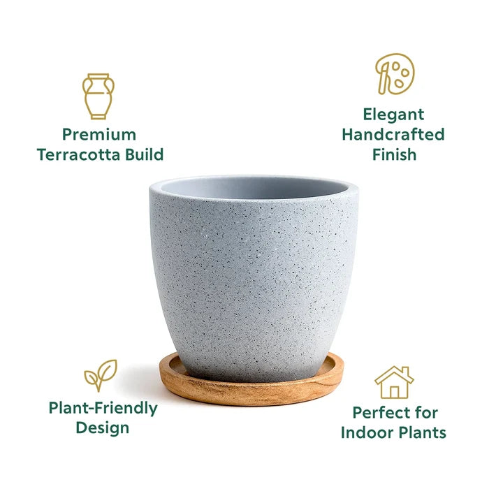 Terrazzo Terracotta Pot With Wooden Saucer Urban Plant