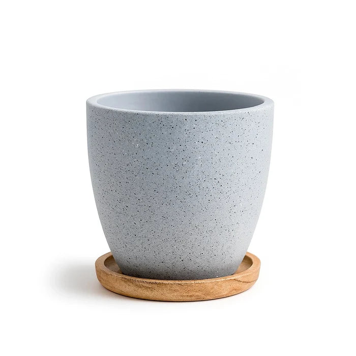 Terrazzo Terracotta Pot With Wooden Saucer Urban Plant
