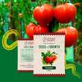 Tomato Seeds Urban Plant