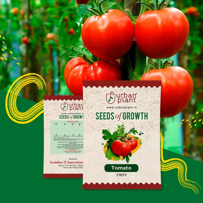 Tomato Seeds Urban Plant
