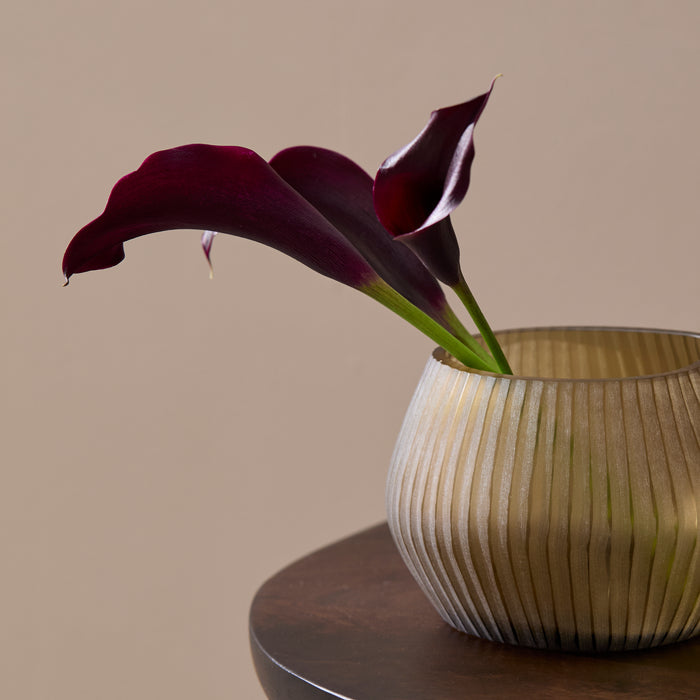 Torcello 20cm Glass Vase - Driftwood - Laura James