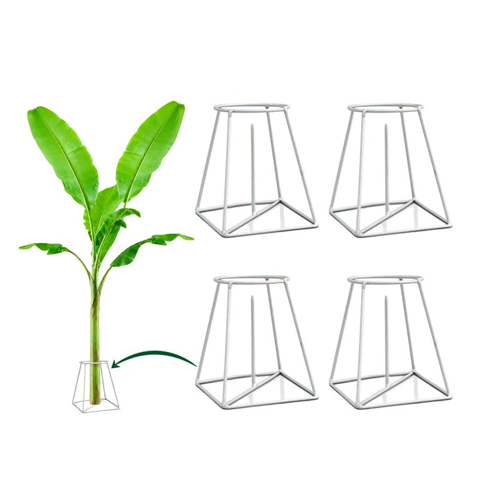 Urban Plant Banana Stand Holder for Pooja (Pack of 4)