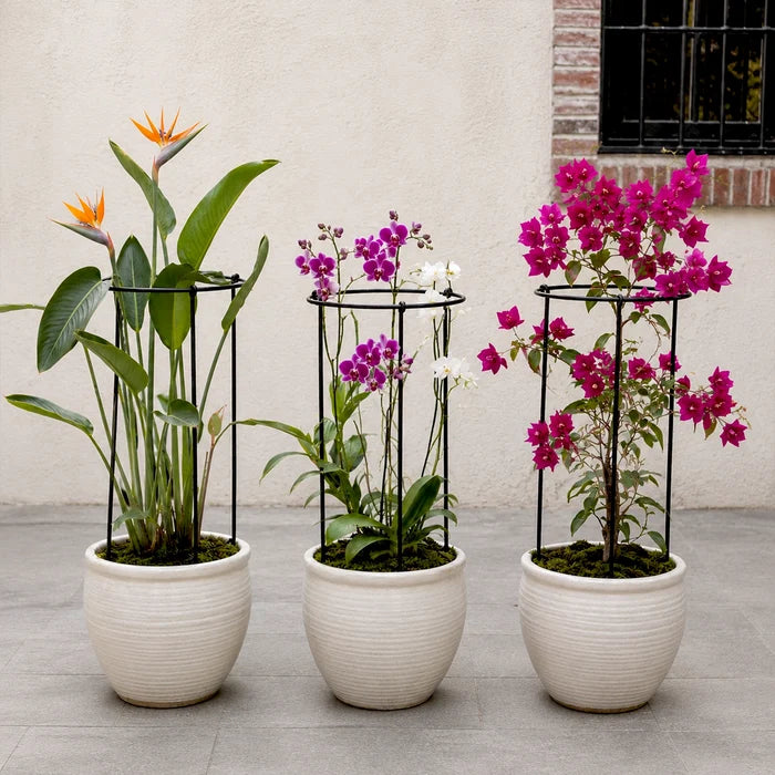 Urban Plant Minimalistic Trellis Plant Support - (Pack of 3)