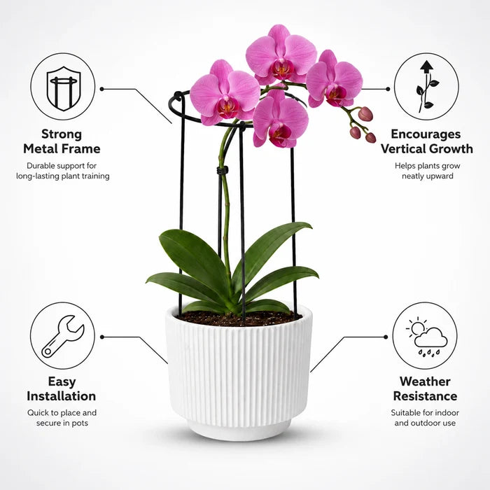 Urban Plant Minimalistic Trellis Plant Support - (Pack of 3)