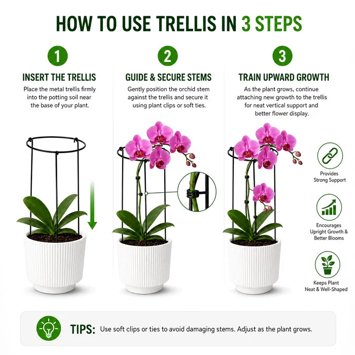 Urban Plant Minimalistic Trellis Plant Support - (Pack of 3)