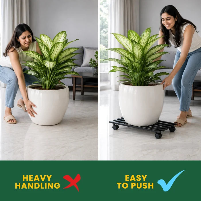 Urban Plant Rectangular Caddy with Wheel Rolling Plant Stand