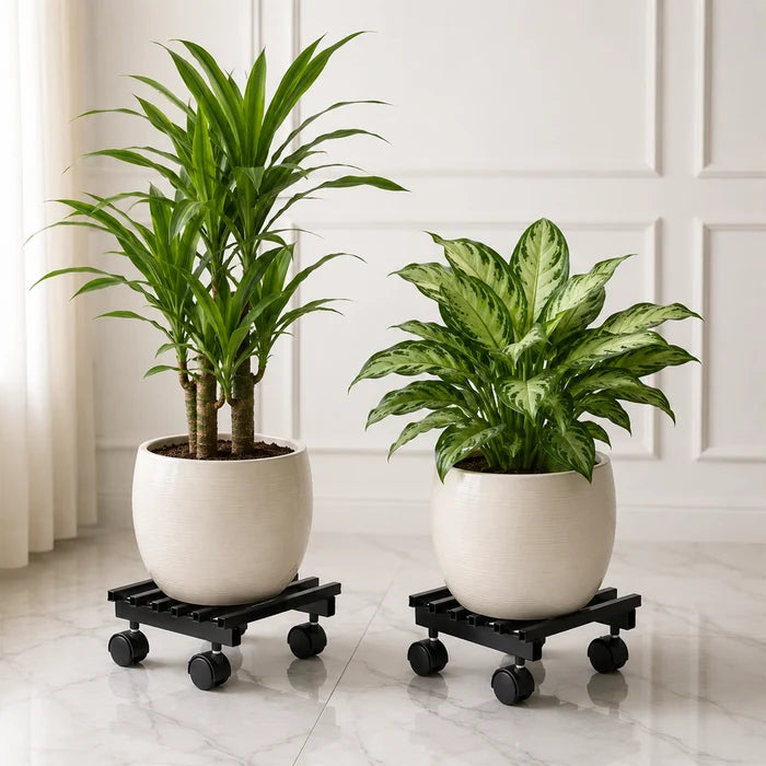 Urban Plant Square Caddy with Wheel Rolling Plant Stand (Set of 4)