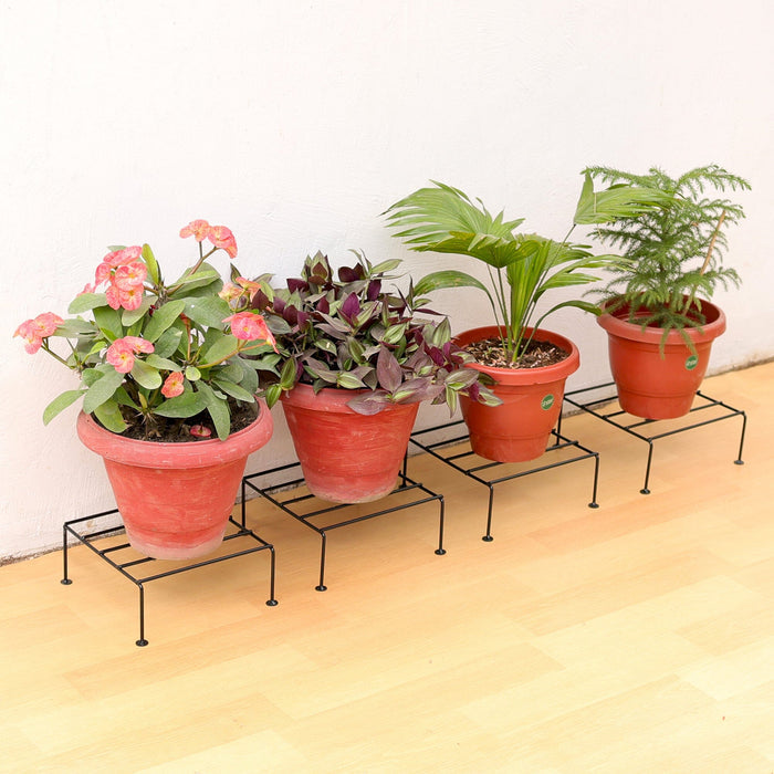 Urban Plant Titanium Stand (Set of 6 - Black) Metal Stand Urban Plant