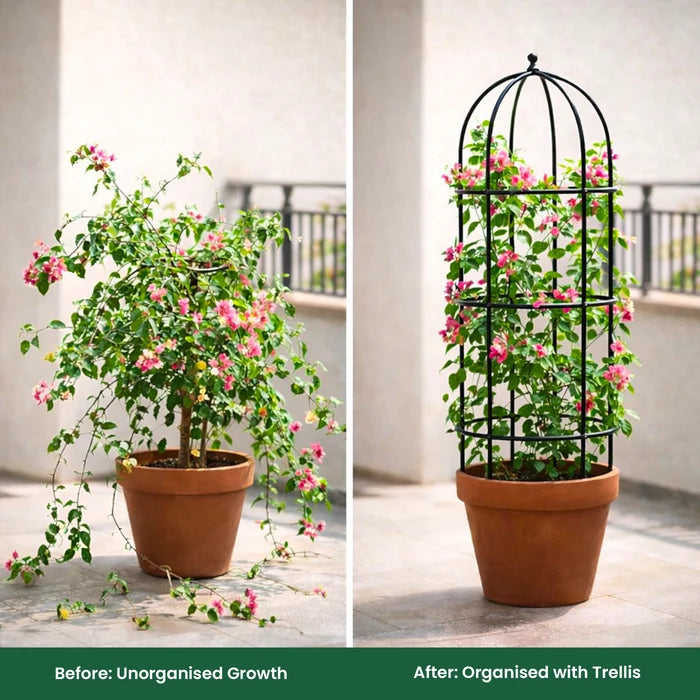 Urban Plant Trellis for Plant Protection - (Set of 3)