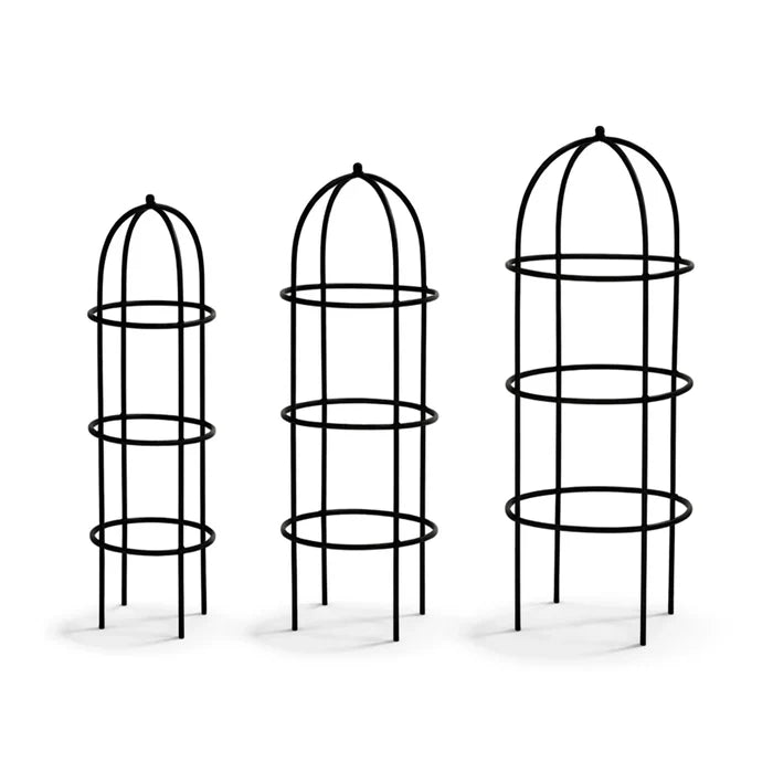 Urban Plant Trellis for Plant Protection - (Set of 3)