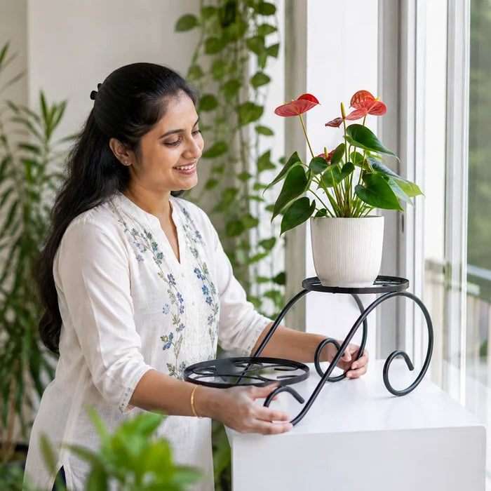 Urban Plant Twinset Stand for Plants (Pack of 2)