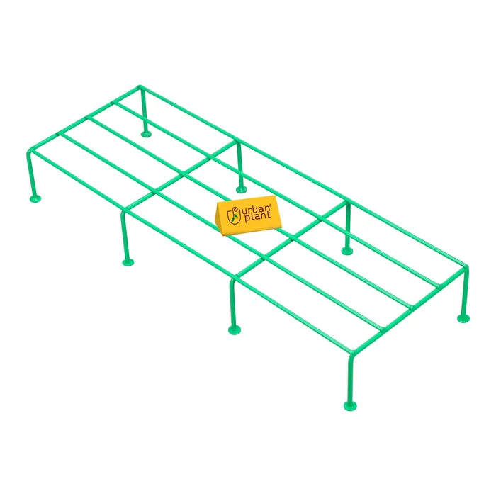 Green / Pack of 1