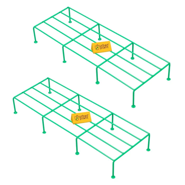 Green / Pack of 2