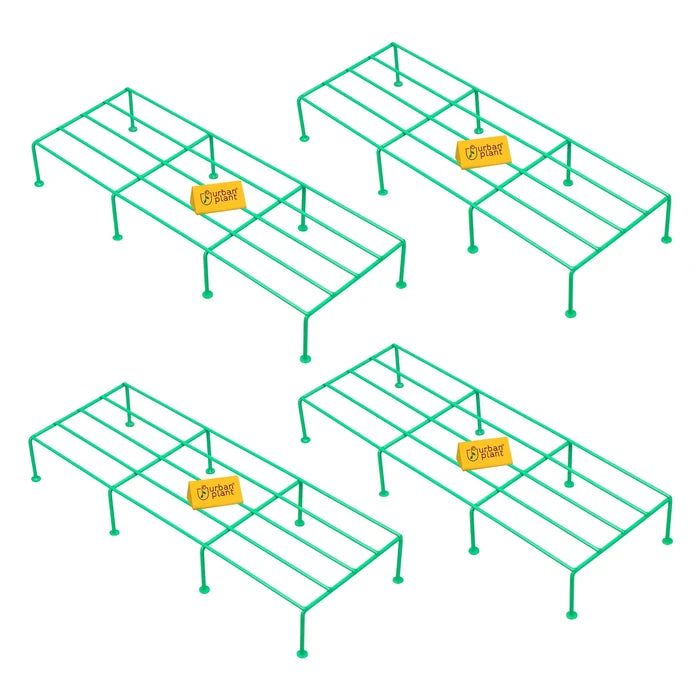 Green / Pack of 4