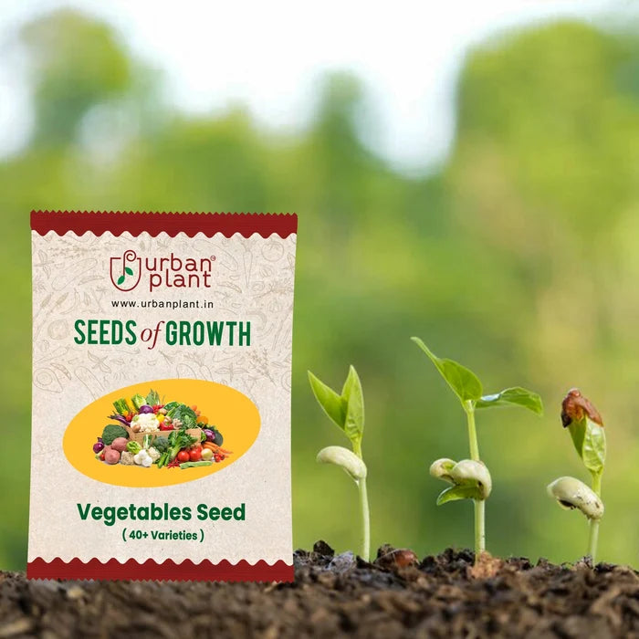 Vegetable Seeds Bank 40 plus Varieties - 3420 Seeds Vegetable Seed Urban Plant