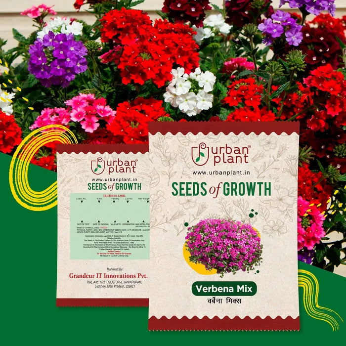 Verbena Mix Flower Seeds Urban Plant