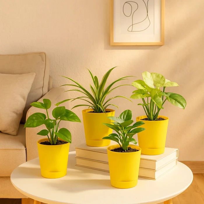 Yellow / Set of 4