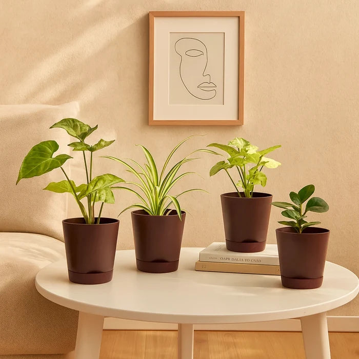 Brown / Set of 4