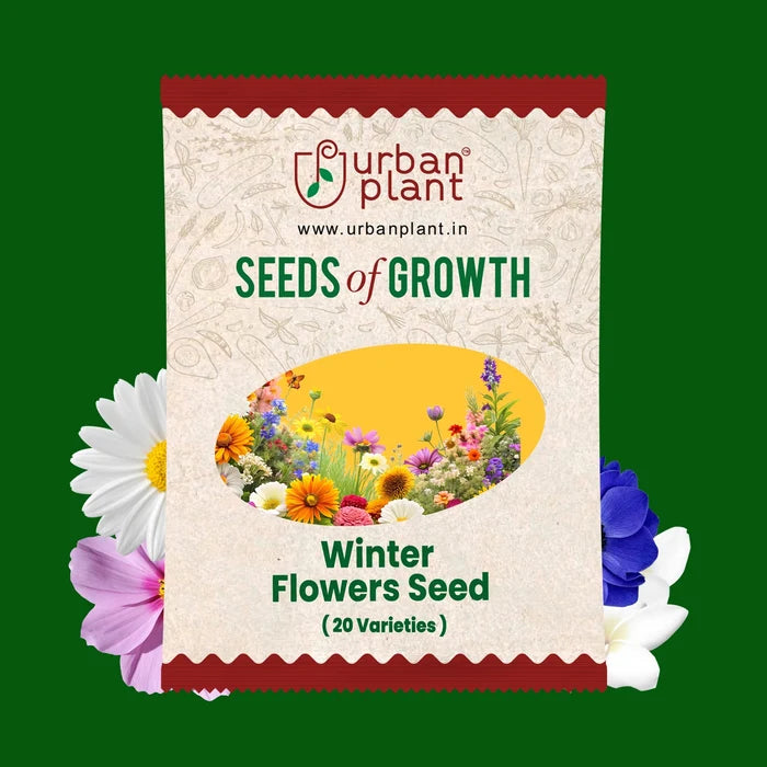 Winter Flower Seed Bank: 20+ Varieties, 2500+ Seeds Flower Seed Urban Plant