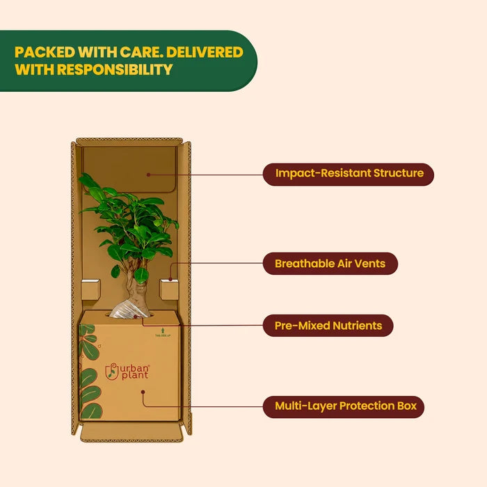plants secure packing